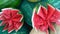 Two red juicy cut watermelon in a star shape on green background for sales. Ready to eat. Harvest festival. Health Benefits. Delic