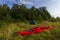 Two red kayaks ann tent in the grass