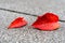 Two red leaves lie on concrete background