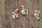 Two red macao parrots clay figures on on the