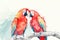 Two red macaws parrots, in love with each other, settled on a lush tree branch. Generative AI