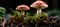 Two red mushrooms are standing on top of a pile of moss, AI