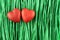 Two red painted wooden hearts on green paper raffia strips background