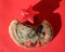 Two red paper hearts on Byrch polypore or Piptoporus betulinus dry mushroom on red background, valentine day