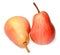 Two red pears isolated on white. Bright colours. Design element for print and web