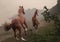 Two red stallions are fighting on a misty shore