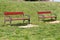 Two red wooden bench in beautiful natural environment, grass and spring flowers / Benches in public park at spring sunny day.