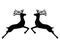 Two reindeer jumping together