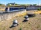 Two resin pandas near the airport shuttle line of Paris-Charles de Gaulle Airport in Roissy-en-France