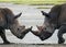 Two rhinoceros fighting with each other. Kenya. National Park. Africa.