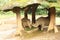 Two rhinoceroses under shelter in safari