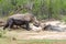 Two rhinos sharing a mud-bath in the Hluhluwe/Imfolozi Game Reserve in KwaZulu-Natal, South Africa.