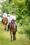 Two rider woman on horses going down from the hill