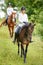 Two rider woman on horses going down from the hill