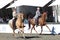 Two riders with beautiful American Saddle Horses at an agricultural show