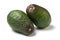 Two ripe avocados isolated