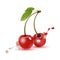 Two ripe cherries on a white background, delicious food, vitamins. 3D effect. Vector illustration. EPS10