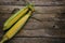 Two ripe ears corn wooden background.