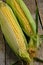 Two ripe ears corn wooden background.