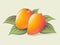 Two ripe mango on a light background. Ripe fruits with leaves. Organic exotic products illustration.
