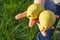 Two ripe pears in a child`s hand on a background of green grass. The concept of the collection of ripe fruits, natural vitamins,