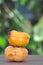 Two ripe soft persimmons on the table