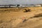 Two road construction workers in orange vests and protective helmets in the middle on the field