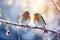 Two Robins in a Wintry Dance, Perched on Snow-Dusted Berries - A Harmony of Nature. Generative AI