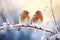 Two Robins in a Wintry Dance, Perched on Snow-Dusted Berries - A Harmony of Nature. Generative AI