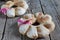 Two round bread wreath of rye flour tied with ribbon, gift