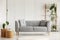 Two round coffee tables with plants in glass vases next to grey scandinavian sofa in elegant living room with wooden bookshelf