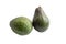 Two round green avocado fruits die cut on white background, isolated with clipping path