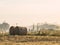 Two round hay bales sitting in a field