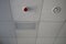 Two round plastic alarm on the gray ceiling