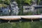 Two Row Boats in Mohonk Lake in New Paltz, New York