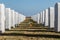 Two Rows of Tombstones and Flowers at Miramar National Cemetery