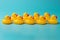 Two rows of yellow plastic ducks on a blue background