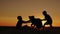 Two rural boys play with their favorite dog at sunset.