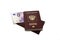 Two Russian foreign passports with a bundle of money. Immigration or tourism concept. Banknote zero euro 0 on a white isolated bac