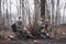 Two Russian soldiers in the forest take a break from a long cross-country trek