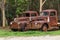 Two rusty old Ford trucks