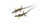 Two sand lizards on white background