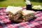 two sandwiches with coleslaw on a picnic blanket