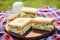 two sandwiches with coleslaw on a picnic blanket