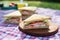 two sandwiches with coleslaw on a picnic blanket