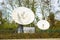 Two satellite telecommunications dishes in a security area