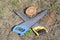 Two saws hacksaws lie across. Garden tool saw