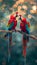 Two scarlet macaws face each other on branch with blurry background, space for text