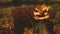 Two scary pumpkin lantern on a stump