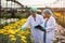 Two Scientist women with head cap and gloves holding lab sheet of flower and researching experiment in Chrysanthemums